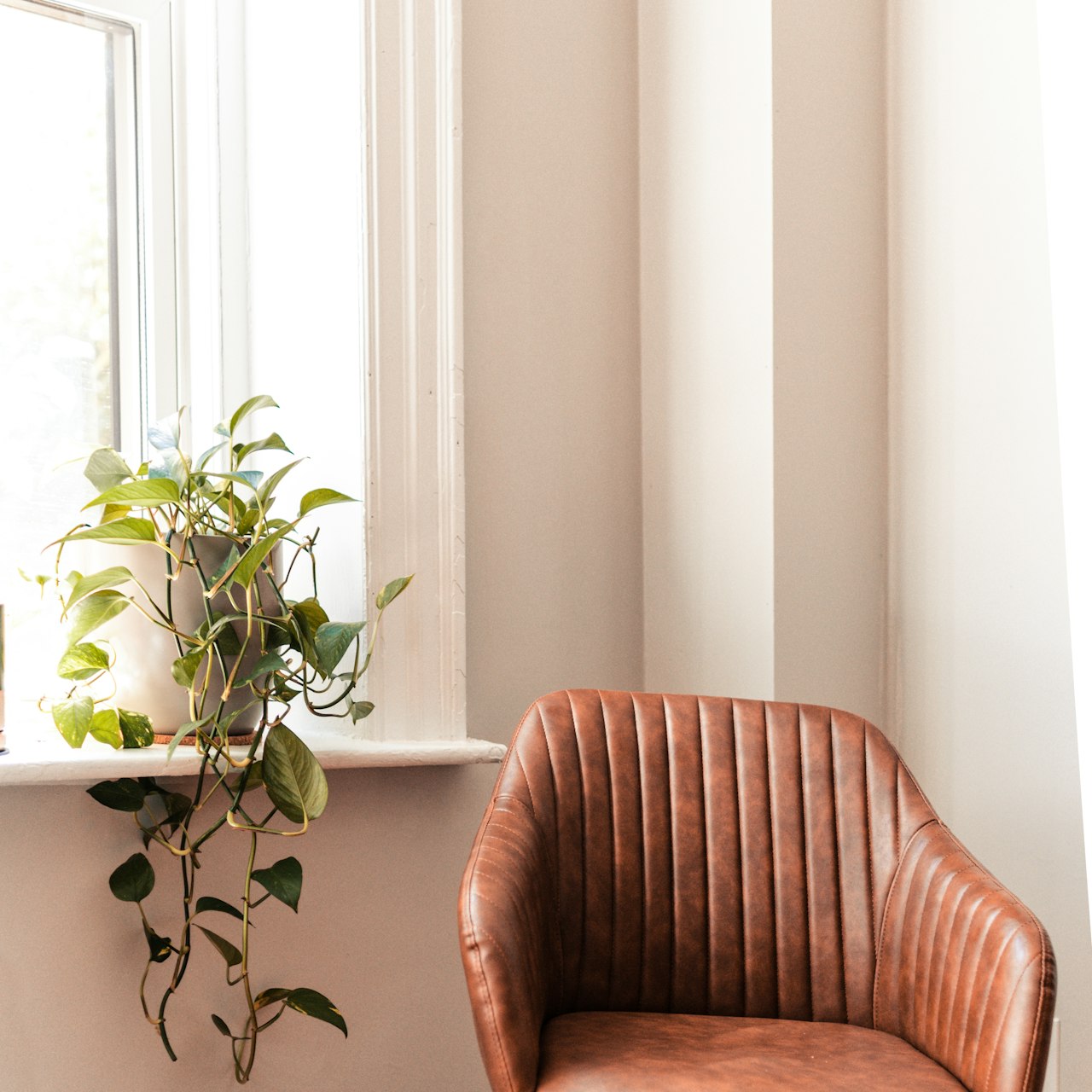 Grado 2545.221 PO - Lifestyle